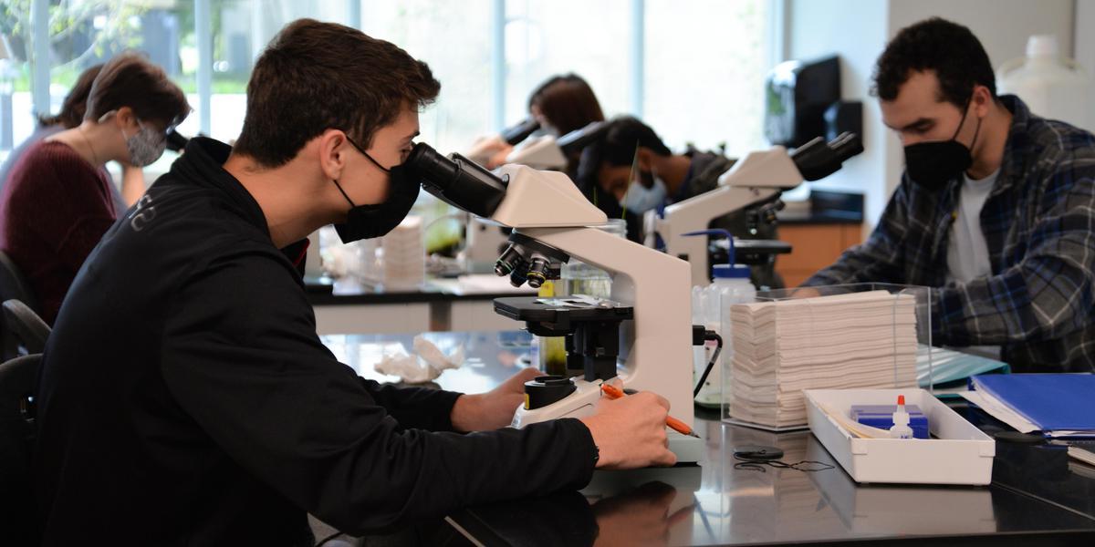 Student inspecting object in Biology class.